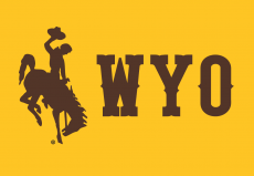 Wyoming Cowboys 2013-Pres Alternate Logo 03 heat sticker