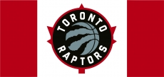 Toronto Raptors Flag001 logo heat sticker