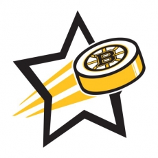 Boston Bruins Hockey Goal Star logo custom vinyl decal