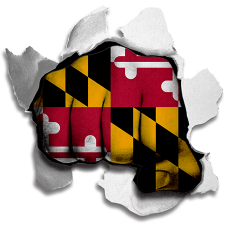 Fist Maryland State Flag Logo heat sticker