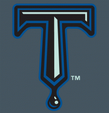 Tulsa Drillers 2004-Pres Cap Logo heat sticker