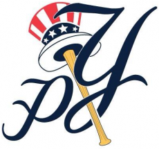 Pulaski Yankees 2015-Pres Secondary Logo heat sticker