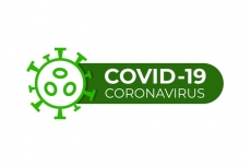 Covid19-28 Logo custom vinyl decal