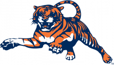 Auburn Tigers 1982-1997 Alternate Logo custom vinyl decal