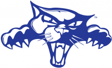 High Point Panthers 2004-Pres Alternate Logo 04 heat sticker