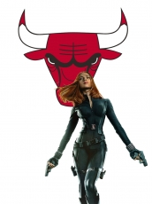 Chicago Bulls Black Widow Logo custom vinyl decal