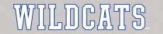 Kentucky Wildcats 2016-Pres Wordmark Logo 09 custom vinyl decal