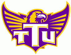 Tennessee Tech Golden Eagles 2006-Pres Alternate Logo heat sticker
