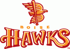 Boise Hawks 2007-2010 Primary Logo heat sticker