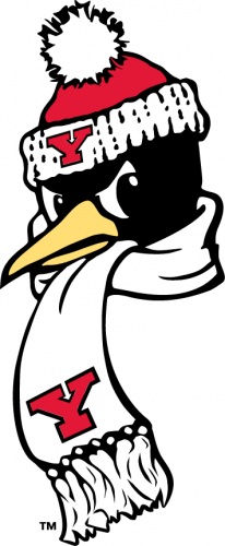 Youngstown State Penguins 1993-Pres Alternate Logo 05 custom vinyl decal