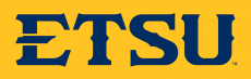 ETSU Buccaneers 2014-Pres Wordmark Logo 08 heat sticker