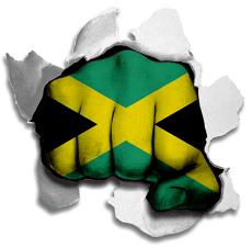 Fist Jamaica Flag Logo heat sticker