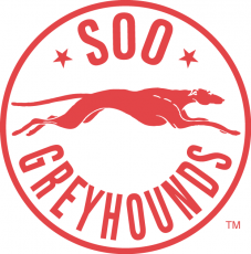 Sault Ste. Marie Greyhounds 1985 86-1994 95 Alternate Logo custom vinyl decal