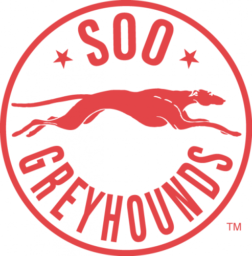 Sault Ste. Marie Greyhounds 1985 86-1994 95 Alternate Logo heat sticker