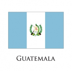 Guatemala flag logo heat sticker