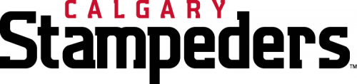 Calgary Stampeders 2012-Pres Wordmark Logo heat sticker