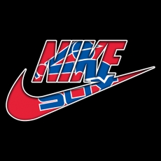 Chicago White Sox Nike logo heat sticker
