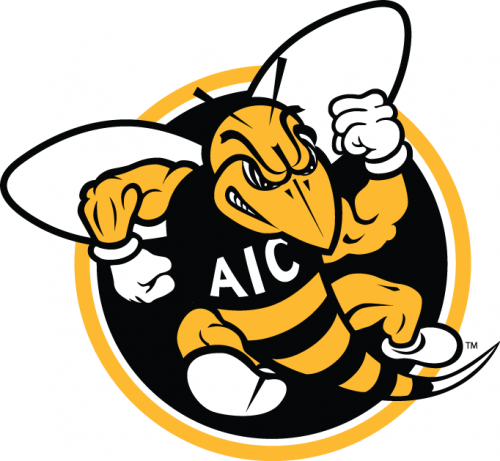 AIC Yellow Jackets 2009-Pres Alternate Logo heat sticker
