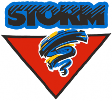 Guelph Storm 1991 92-1996 97 Primary Logo heat sticker