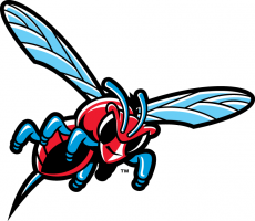 Delaware State Hornets 2004-Pres Misc Logo 02 heat sticker