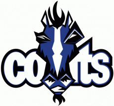 Indianapolis Colts 2001 Unused Logo 01 heat sticker