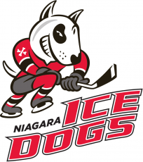 Niagara IceDogs 2007 08-Pres Primary Logo heat sticker
