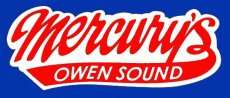 Owen Sound Attack 2010 11 Alternate Logo custom vinyl decal