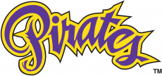 East Carolina Pirates 1999-2013 Wordmark Logo 04 heat sticker