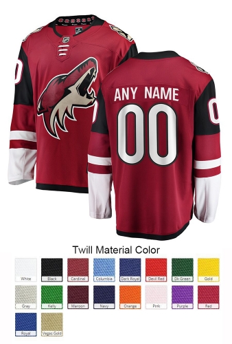 Arizona Coyotes Custom Letter and Number Kits for Away Jersey Material Twill