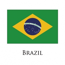 Brazil flag logo heat sticker