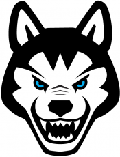 Northeastern Huskies 2001-2006 Alternate Logo 01 custom vinyl decal