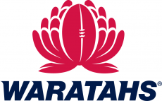 New South Wales Waratahs 2000-Pres Primary Logo custom vinyl decal