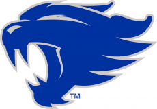 Kentucky Wildcats 2016-Pres Alternate Logo 02 custom vinyl decal
