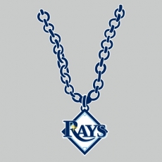 Tampa Bay Rays Necklace logo heat sticker