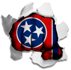 Fist Tennessee State Flag Logo custom vinyl decal