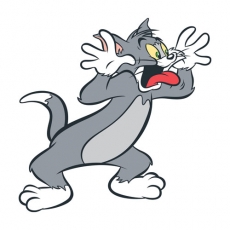 Tom and Jerry Logo 14 custom vinyl decal