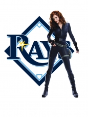 Tampa Bay Rays Black Widow Logo heat sticker