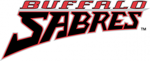 Buffalo Sabres 1996 97-2005 06 Wordmark Logo heat sticker