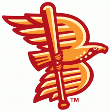 Boise Hawks 2007-Pres Alternate Logo heat sticker