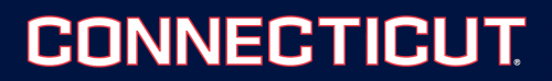 UConn Huskies 2013-Pres Wordmark Logo 07 custom vinyl decal