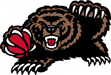 Memphis Grizzlies 2001-2003 Alternate Logo 3 heat sticker