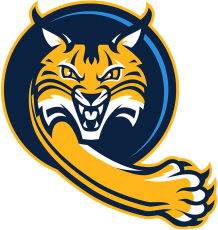 Quinnipiac Bobcats 2019-Pres Alternate Logo 03 heat sticker
