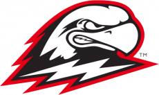 Southern Utah Thunderbirds 2019-Pres Primary Logo custom vinyl decal