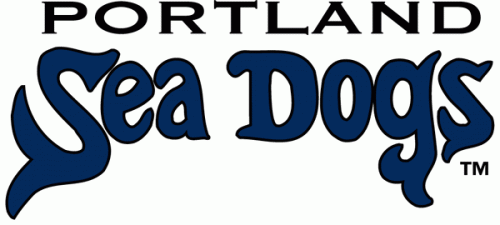 Portland Sea Dogs 2003-Pres Wordmark Logo heat sticker