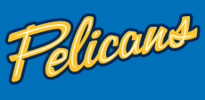 Myrtle Beach Pelicans 2007-Pres Jersey Logo 2 heat sticker