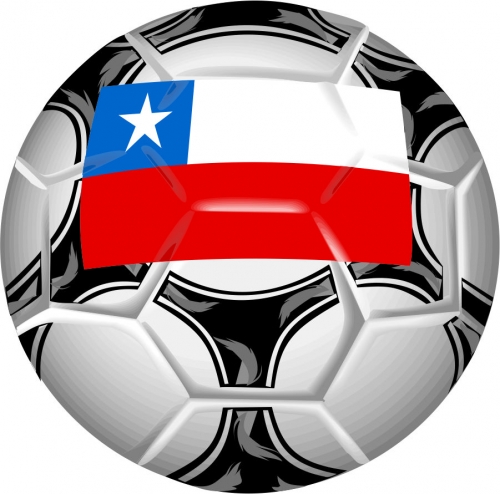 Soccer Logo 14 heat sticker