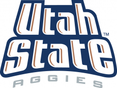 Utah State Aggies 1996-2011 Wordmark Logo heat sticker