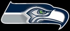 Seattle Seahawks Plastic Effect Logo heat sticker