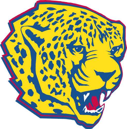 South Alabama Jaguars 1997-2007 Partial Logo custom vinyl decal
