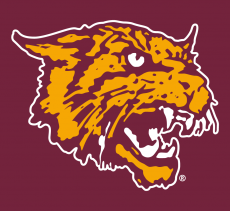 Bethune-Cookman Wildcats 2000-2015 Alternate Logo 02 heat sticker
